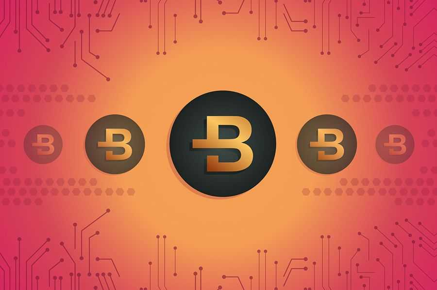 Bytecoin On The Rise: Our Exclusive Interview With Jenny Goldberg