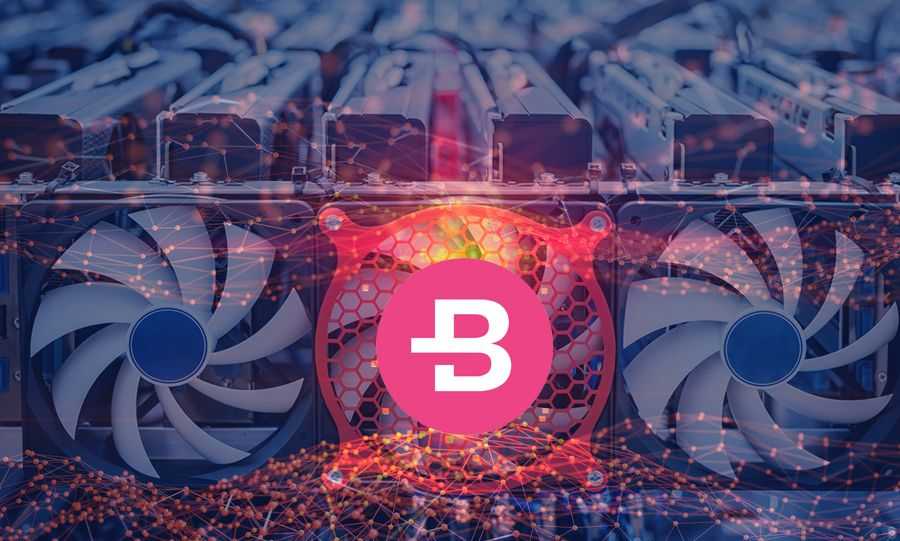 Bytecoin Mining Pools - The Best Places to Mine BCN