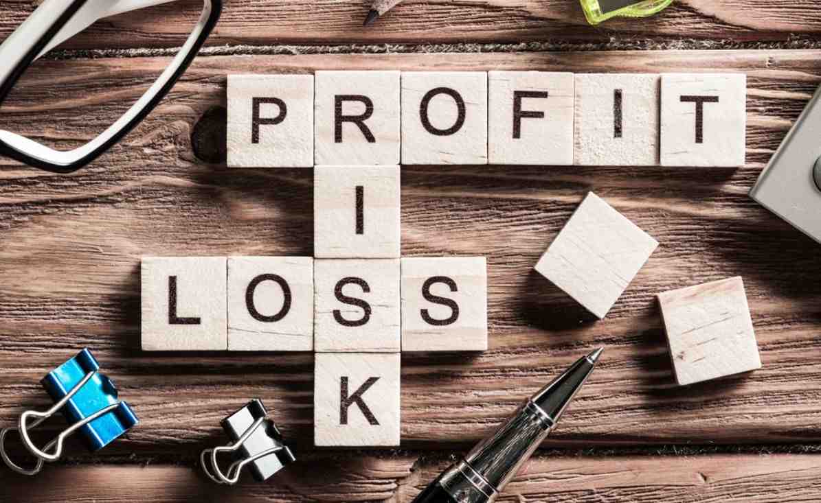 profit and loss.jpg