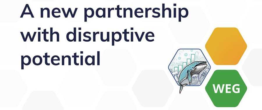 Nimiq, Agora, WEG Partnership