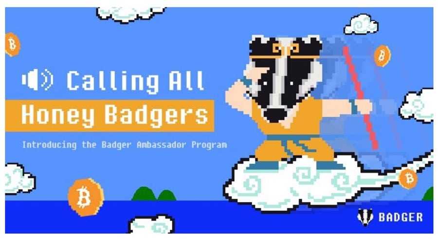 Badger Builders