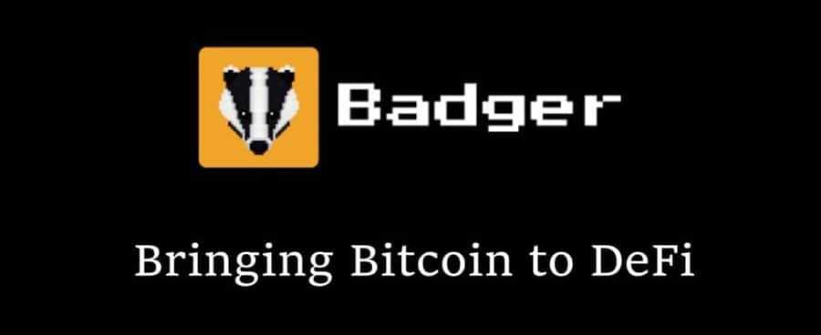 Badger Dao Logo