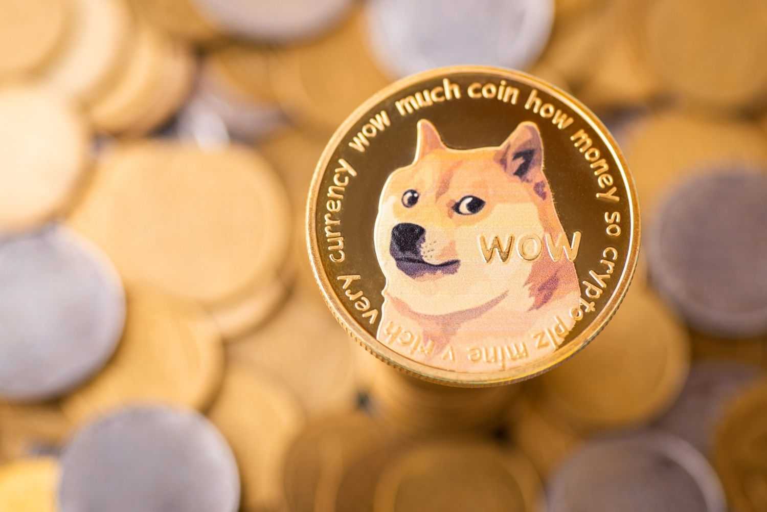 Dogecoin 3.jpg