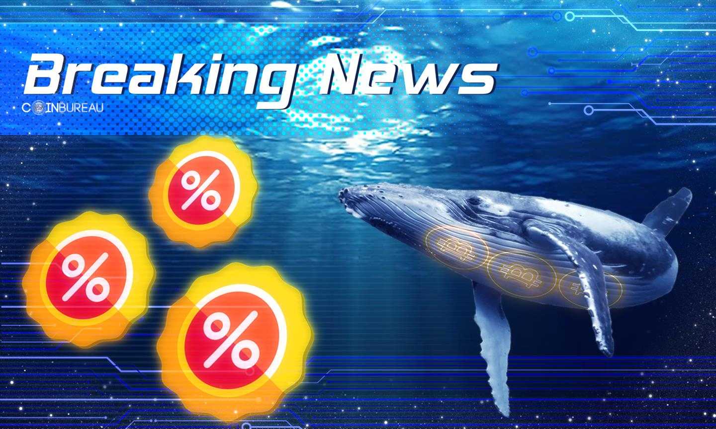 Bitcoin Whales Scoop Up Tasty Discounts