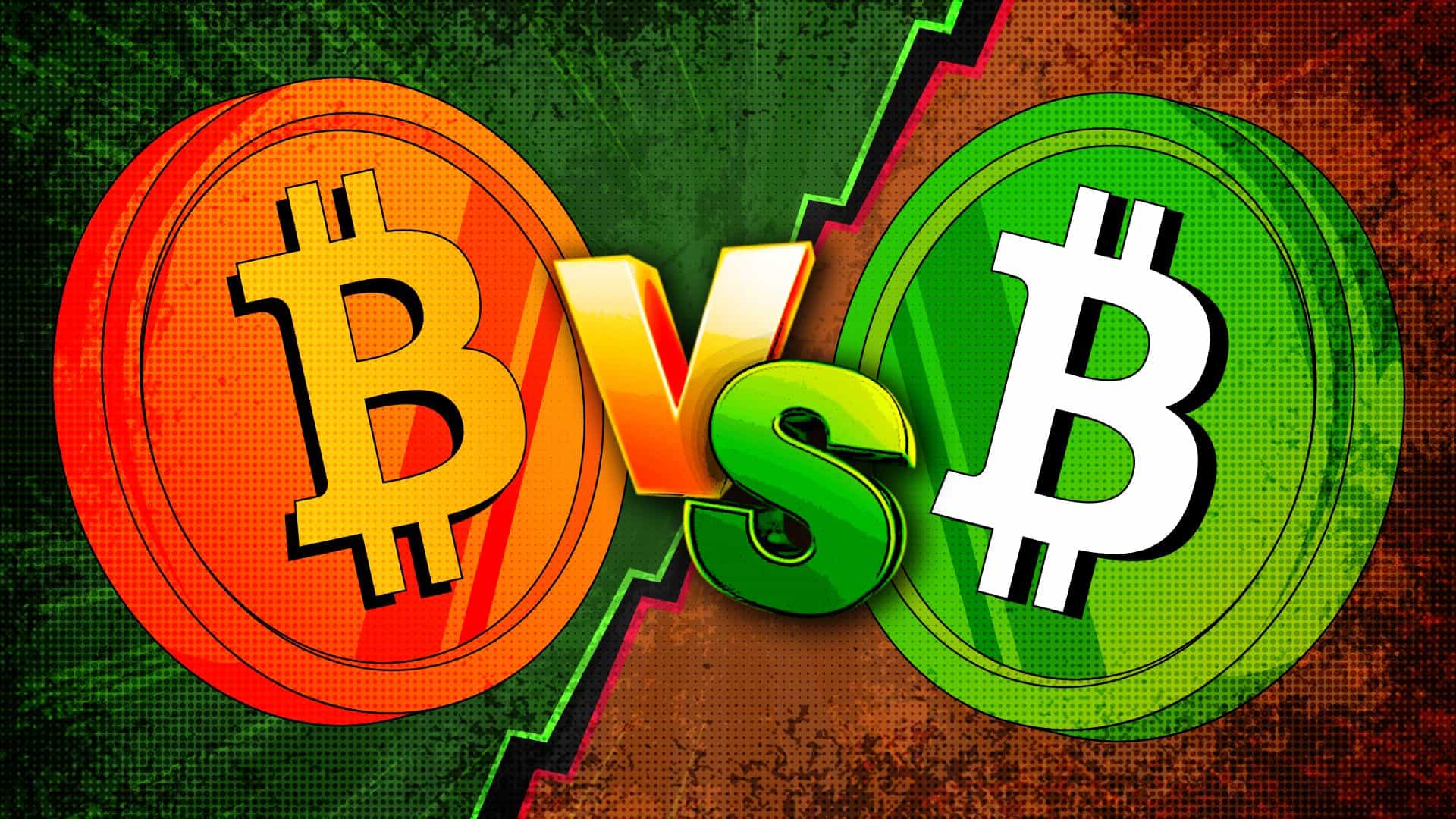 Bitcoin vs Bitcoin Cash: Difference Between BTC and BCH