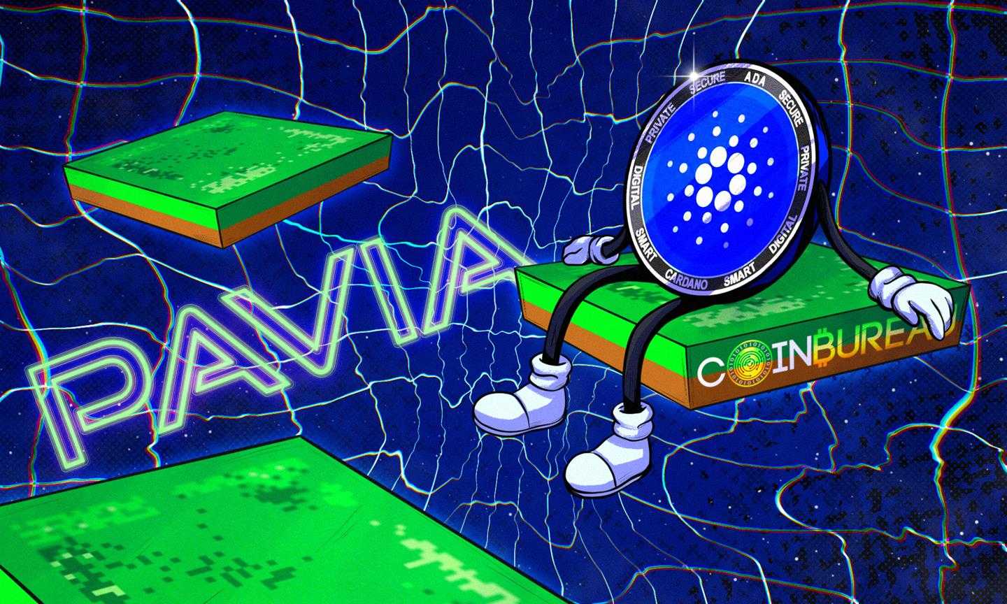 The Pavia Metaverse- Cardano's Decentraland or something more?