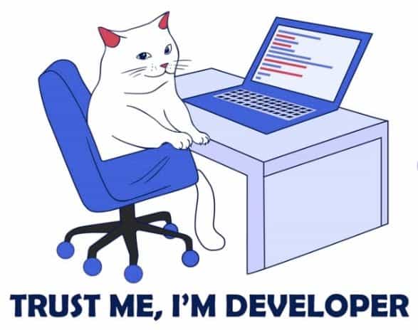 I'm a developer meme.jpg