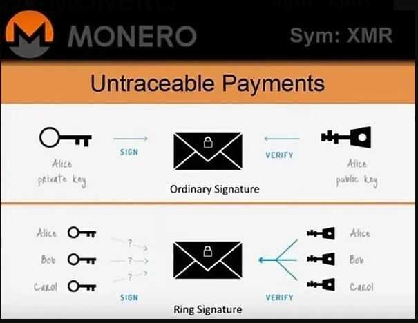 Monero vs. Bitcoin.jpg
