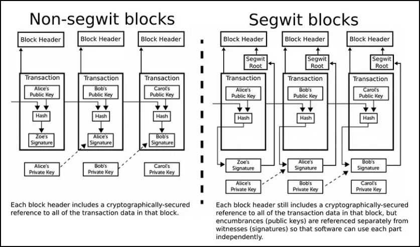 SegWit-The Foundatino of Bitcoin L2s.jpg