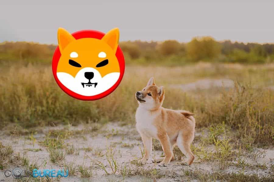 Shiba Inu Review: Next Dogecoin or a Scam?