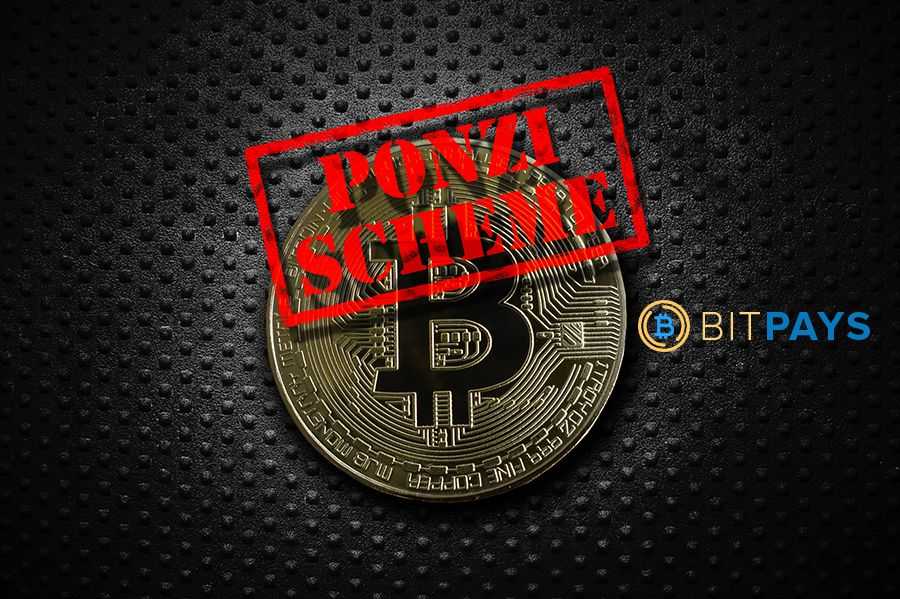 Review of Bitpays.biz: Ponzi Scheme Returns over 350% Per Hour