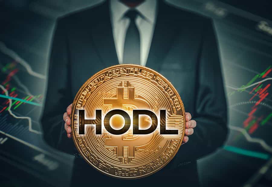 Virtues of the Hodl: Why the Current Crypto Crash Isn't Doomful