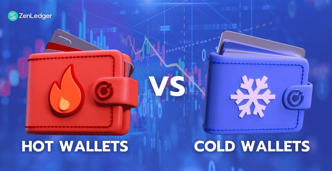 hot vs cold wallets.png