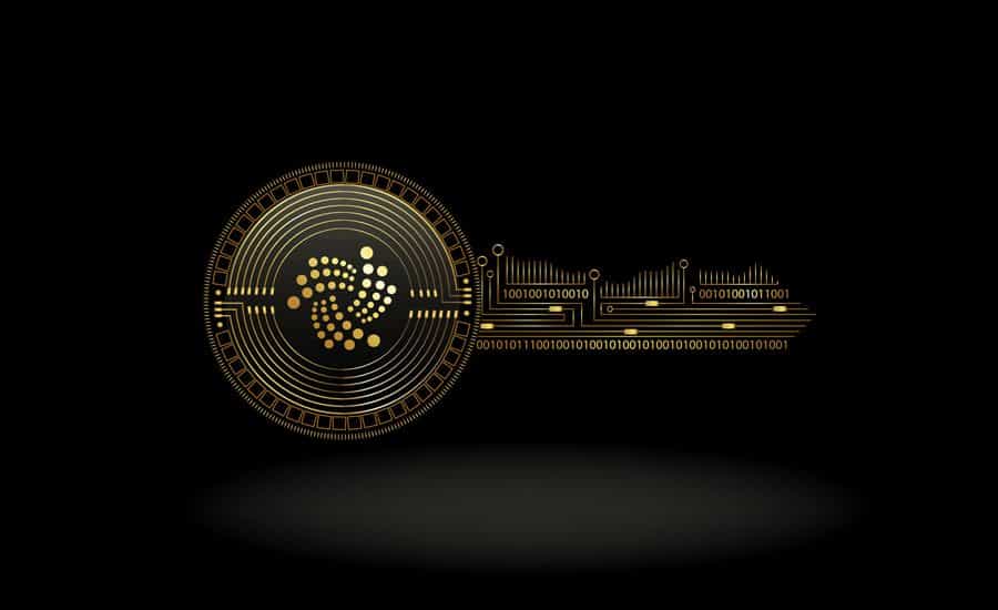 Best IOTA Wallets: What You Need to Consider