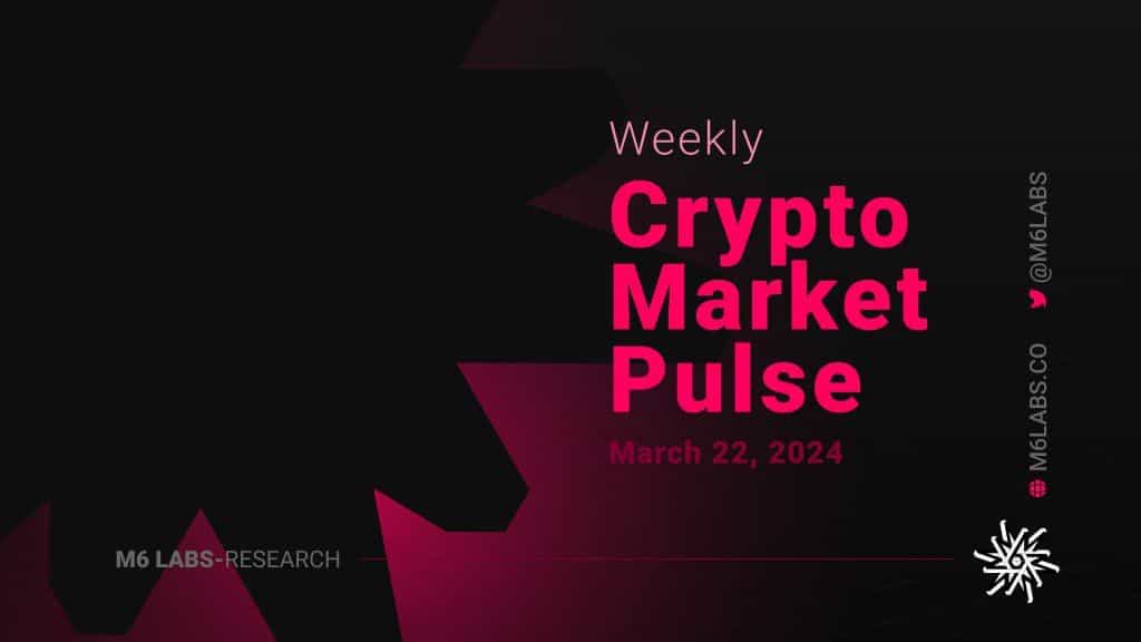 M6 Labs Crypto Market Pulse: Rise of Depin, Solana Madness & Base Ready To Moon