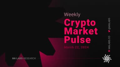M6 Labs Crypto Market Pulse: Rise of Depin, Solana Madness & Base Ready To Moon