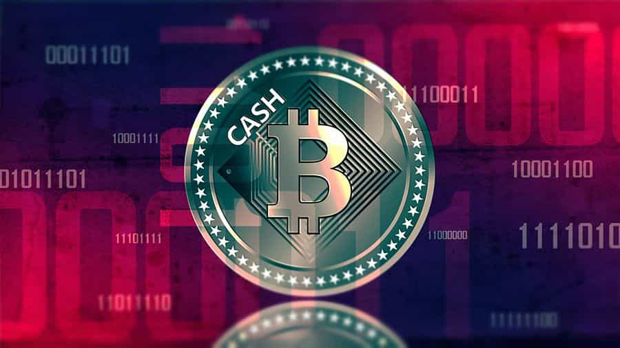 Bitcoin Cash Adoption Increases on DarkNet as Pirate Bay takes Swipe
