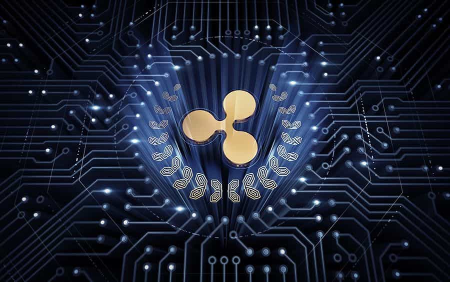 Ripple Partners with MoneyGram to use XRP: What You Need to Know