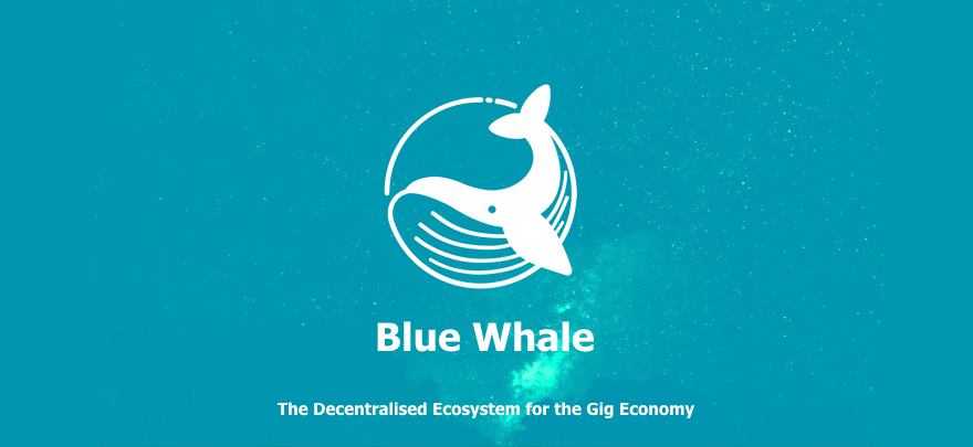 Blue Whale Foundation Review: Our Interview with the First ICON ICO