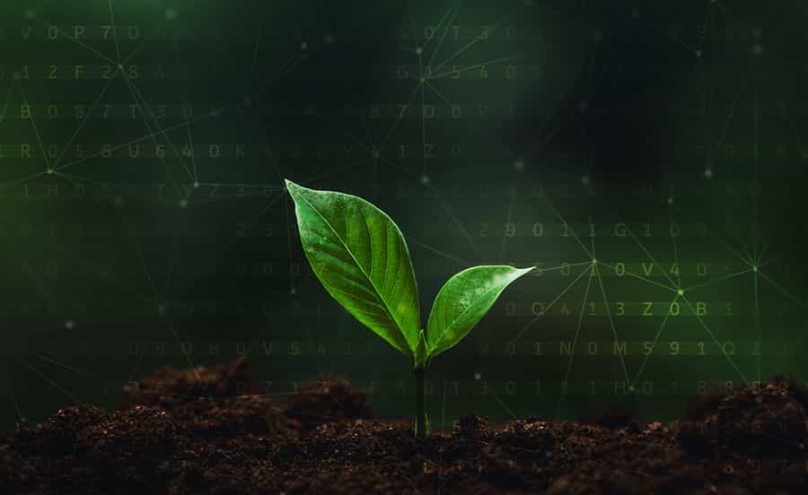 ZCash Sapling Upgrade: Everything You Need to Know