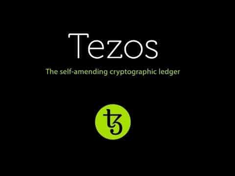 Tezos Commonwealth Issues
