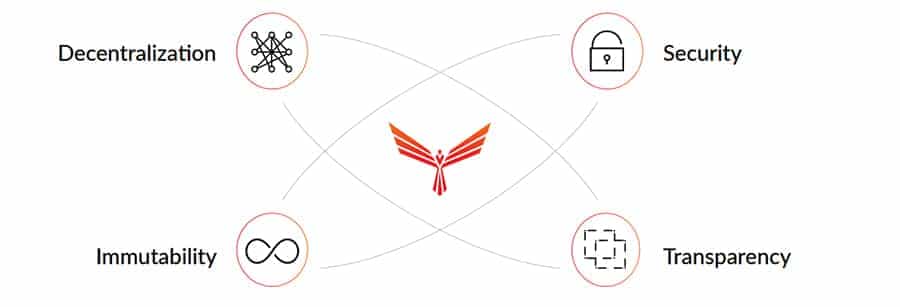Red Pulse Phoenix Overview