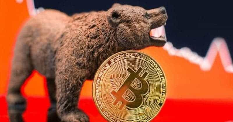 Bear Market bexplus