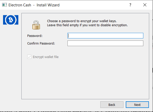 Choosing Password to Encrypt Wallet