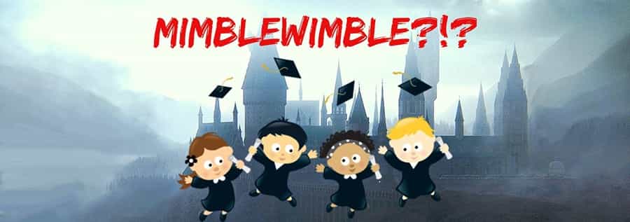 MimbleWimble Explained