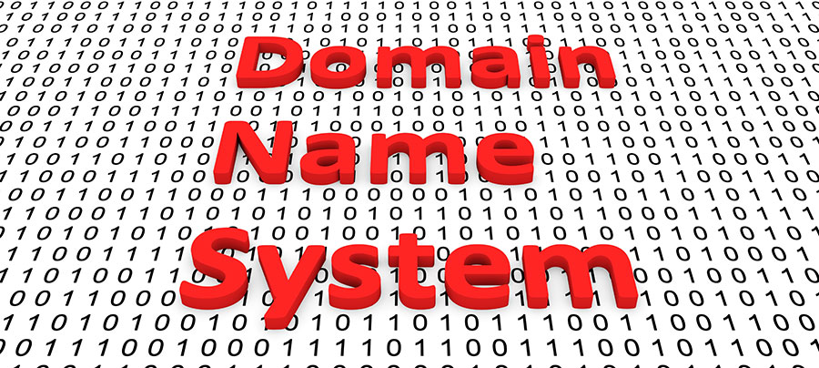 DNS System