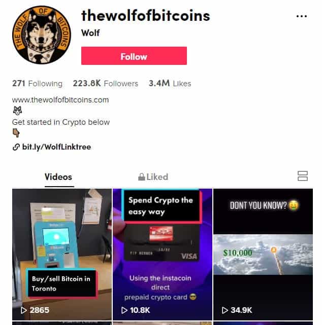 Wolf of Bitcoins