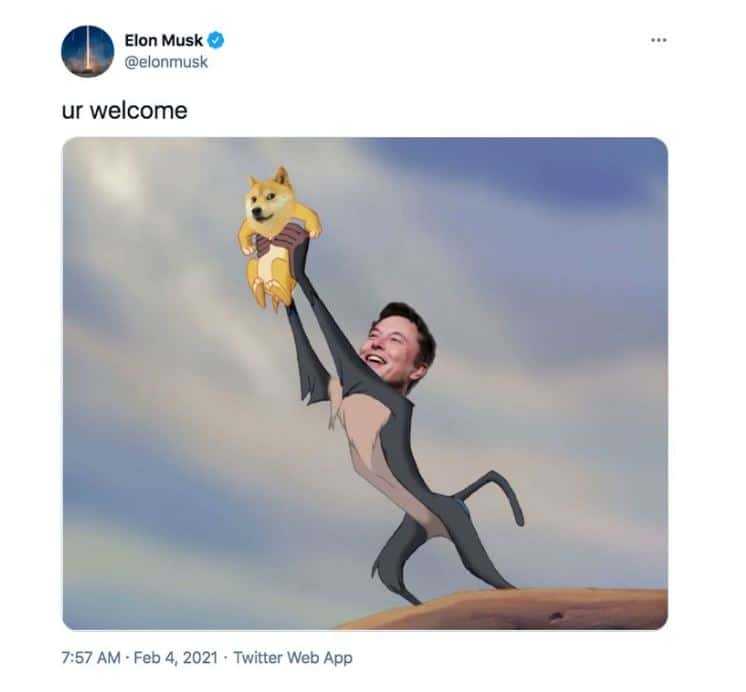 Musk and DOGE