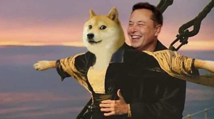 Elon Doge 2