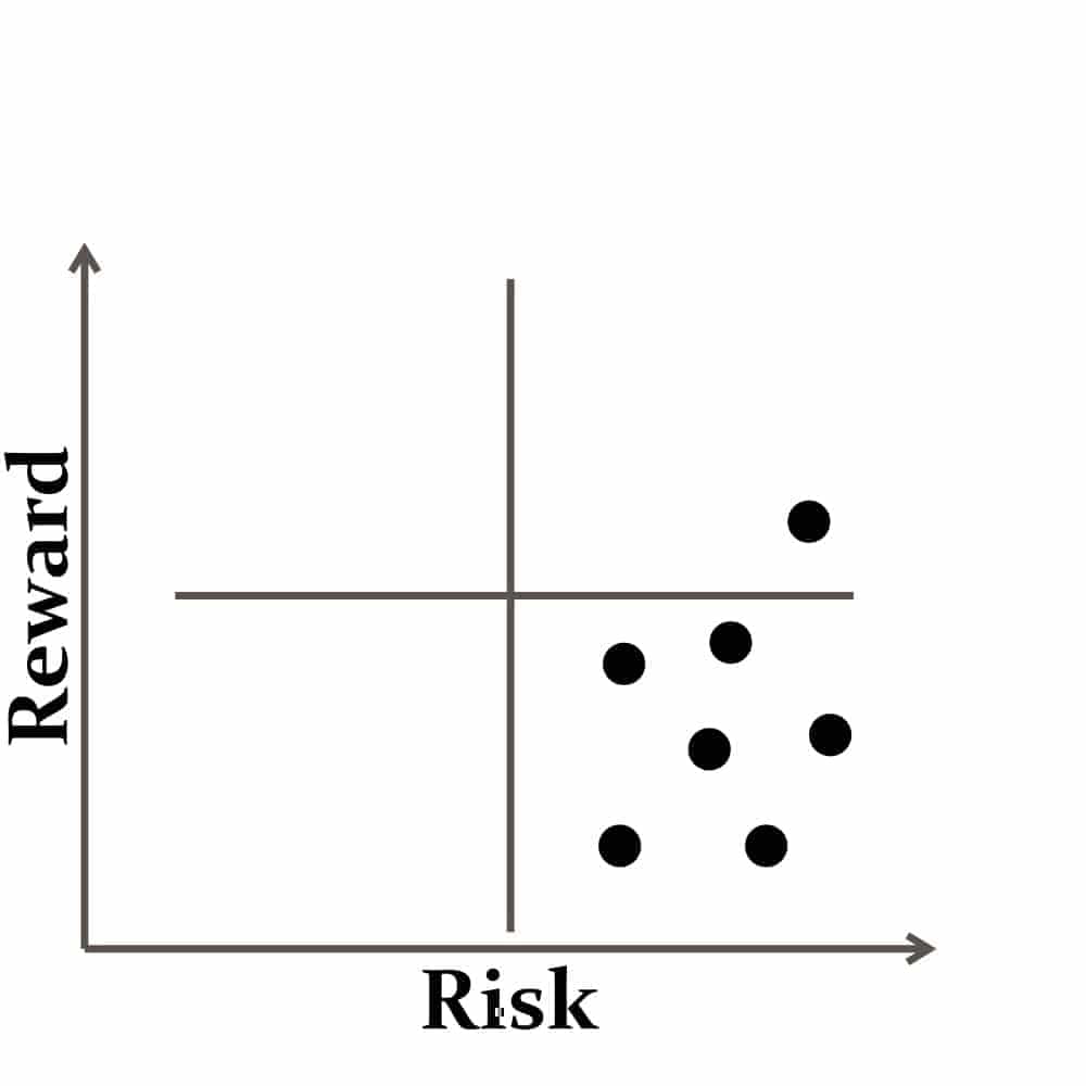 risky portfolio