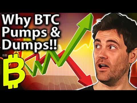When Will Bitcoin Pump or Dump?! Watch THESE!!