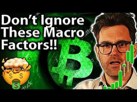 Bitcoin Macro: These Factors Are DRIVING PRICE!!