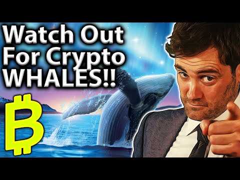 Watch The WHALES!! 101 Guide To Wallet Tracking!!