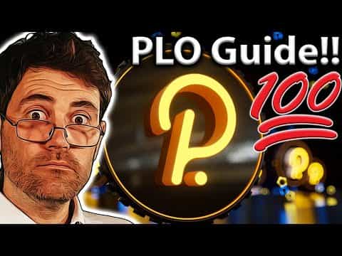 Polkadot Parachain Auctions!! ULTIMATE 101 GUIDE!!