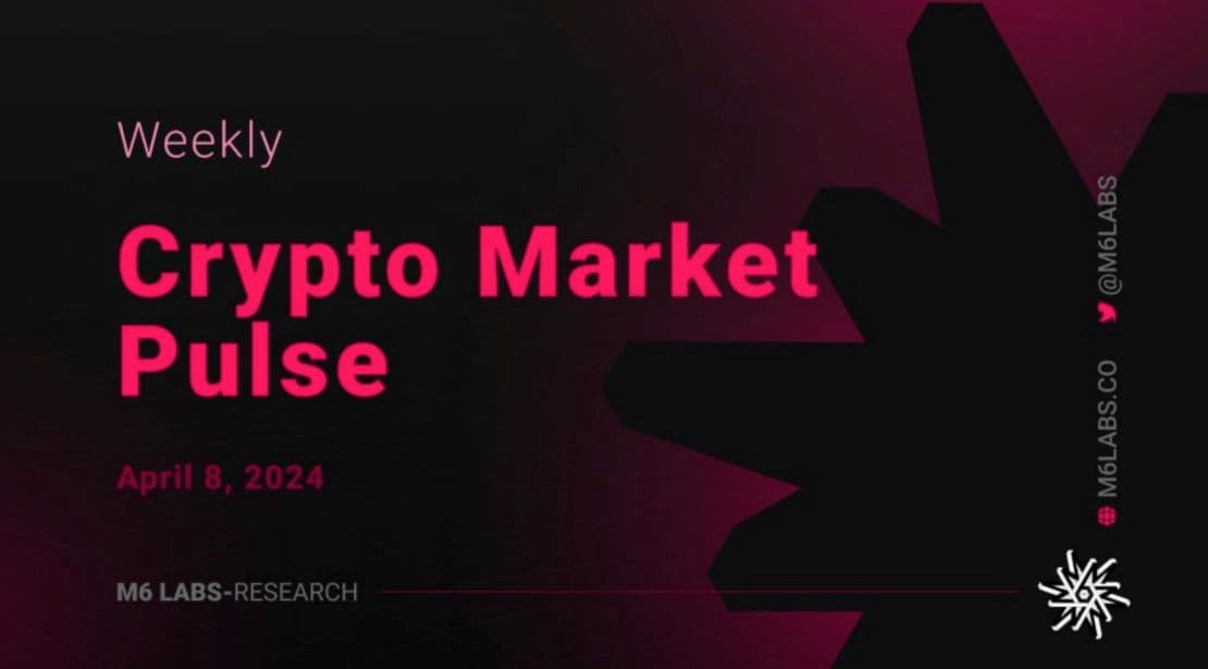 M6 Labs Crypto Market Pulse: Reading The Crypto Star Charts