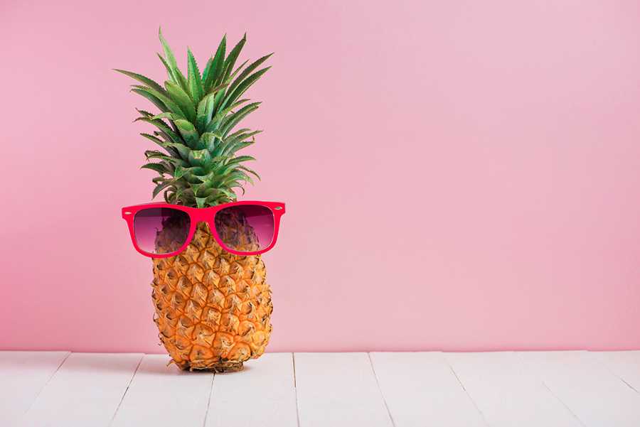 Pineapple Bitcoin Fund Donations