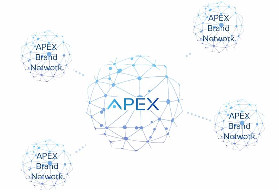 Review of the APEX ICO