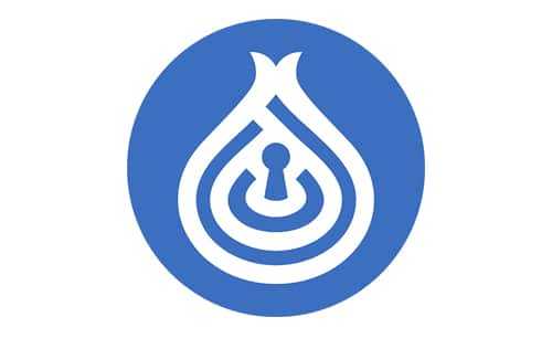 DeepOnion Logo