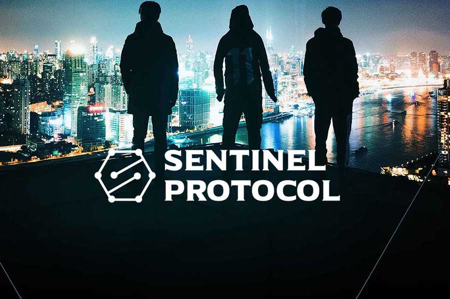 Sentinel Protocol ICO