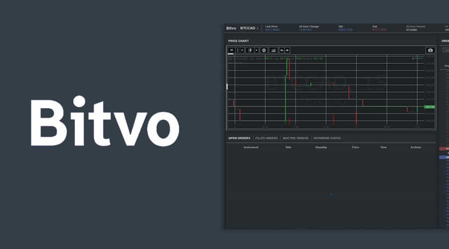 Bitvo Review