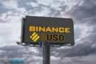 Binance USD Review