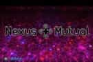 Nexus Mutual Review
