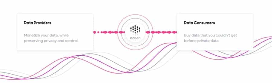 Ocean Protocol Economy
