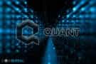 Quant Network Review
