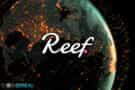 Reef Finance Review