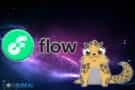 Flow Blockchain Review